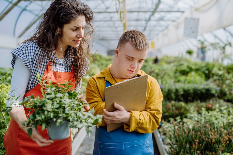 A young man with a disability is being trained for a job in a greenhouse