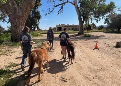 Family helping at a therapeutic riding facility
